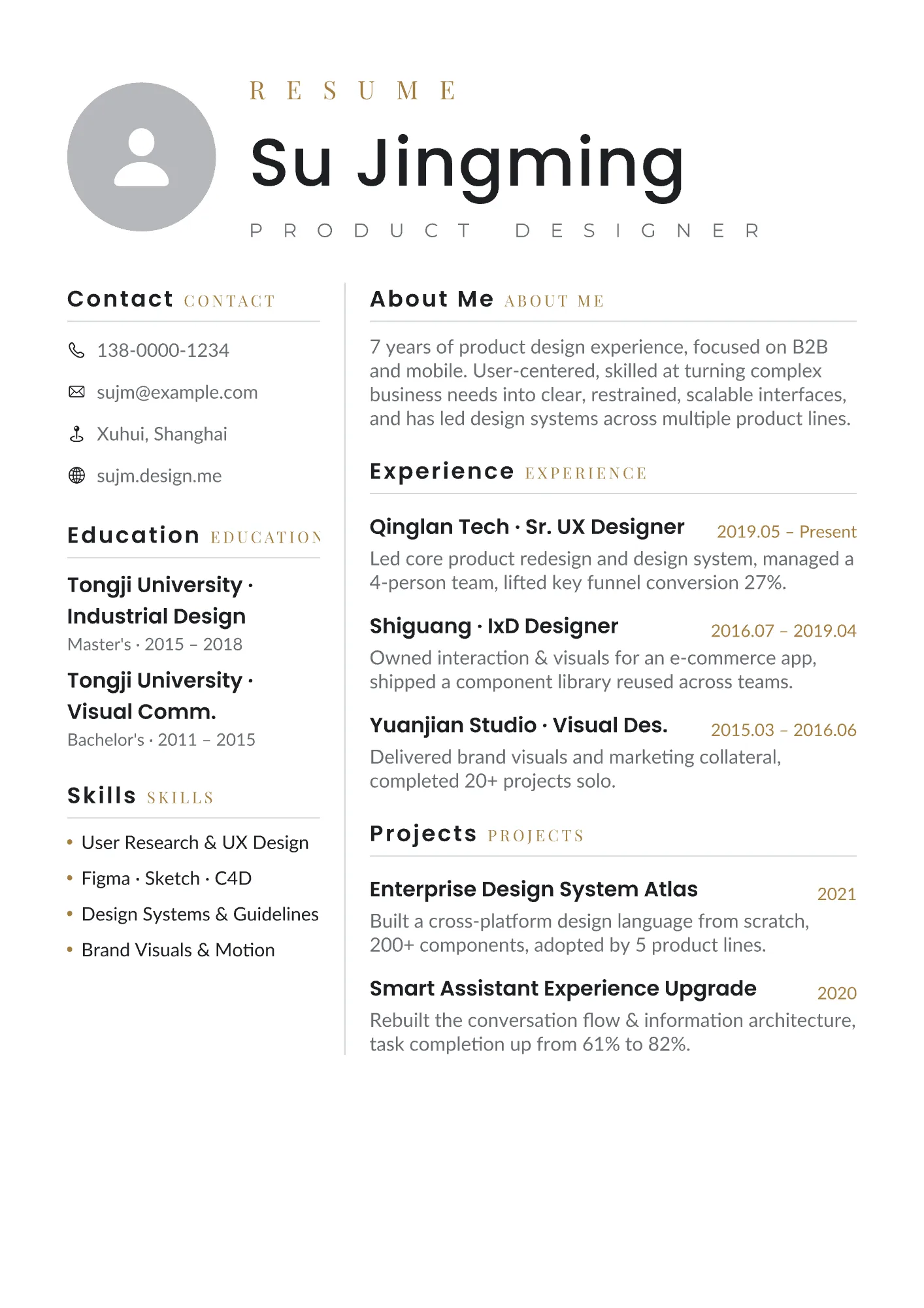 Resume example